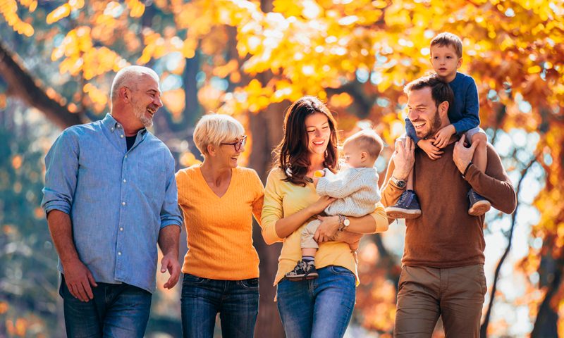 Envolvimentos Familiares